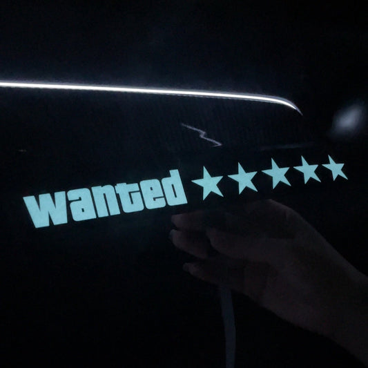 "WANTED" LED Panel